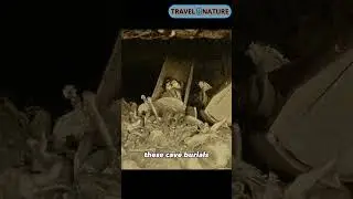 Exploring Ancient Hawaiian Burial Customs: Caves, Rituals, and Heritage #shorts #factsvideo