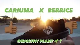 Cariuma x Berrics Skate Shoe Review