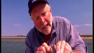 Rex is catching and kissing King George Whiting back in Port Albert Victoria