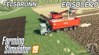 Hybrid Wheat Harvesting By Multiple Tools | FS19 | Farming Simulator 19 | Timelapse | Felsbrunn #20