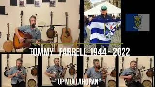Come Back Paddy Reilly to Ballyjamesduff