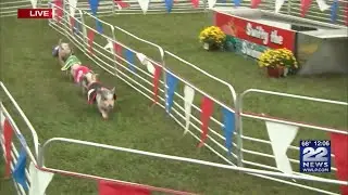 Franklin County Fair