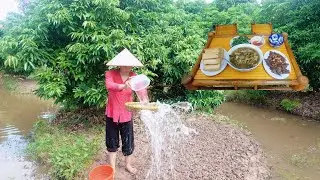 Gardening. A rustic cooking dishes. Fried liver with garlic