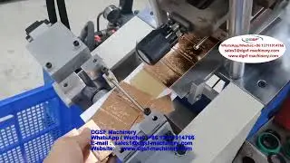 DGSF Machinery WhatsApp Wechat：+86 13711914766