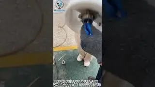 Как установить соединительный ключ формы для формовки котлет?