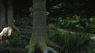 Jack Haldane Willis Island (No Audio)
