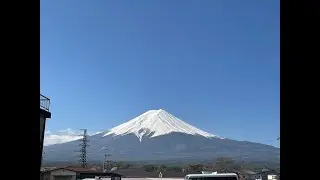 Cherry blossom destination wedding in Lake Kawaguchi, Yamanashi prefecture