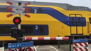 Treinen in Linne