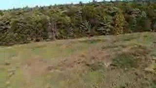 RC Helicopter onboard Video