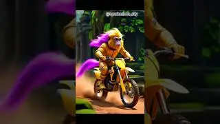 Bike rider monkey