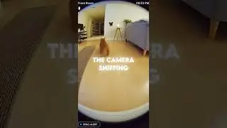 Cat caught red handed by Ring 😺😂