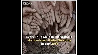 Every Third Child In The World Is Malnourished: Global Nutrition Report 2018