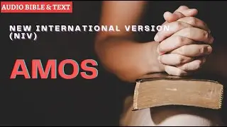 English Audio Bible | Amos (FULL STORY) | New International Version (NIV)