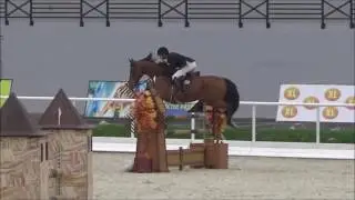 Hardcase (Andiamo x Purioso)