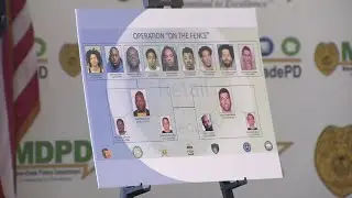 Arrests made in $20 million organized retail theft ring targeting stores across South Florida