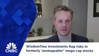 WisdomTree Investments flag risks in formerly 'unstoppable