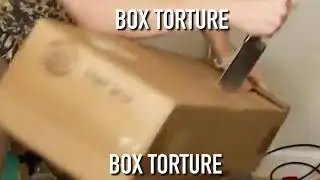 Box torture