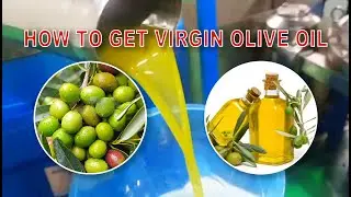 Extra virgin olive oil extraction machine olive oil processing full line