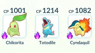 1st Stage Shadow Gen 2 Starters vs Master League in Pokemon GO.