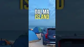 Dalma Island  Abu Dhabi | Hidden gems uae| islands in AbuDhabi | AbuDhabi places