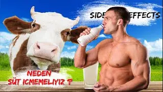 Neden Süt İçmemeliyiz?