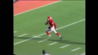 1996 Ohio HS Football Div VI State Championship - St. Henry vs Mogadore