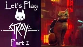 Let's play! Stray | Part 2 - Finding Momo