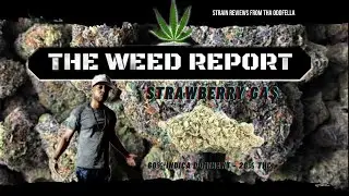 The Weed Report (Strawberry Gas)