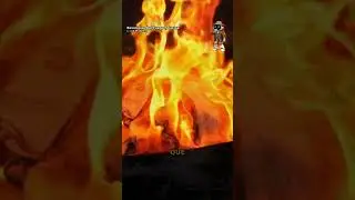 C&oacute;mo el fuego encendi&oacute; el crecimiento de nuestro cerebro