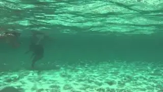 Snorkeling Tilloo Bank June 2013