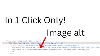 How to Automatically Add Image alt in Wordpress