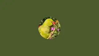 Mittu Beti Live  Aaj Ka Mood Alag Hi Hai!