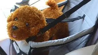 Folding Pet Dog Carrier Waterproof