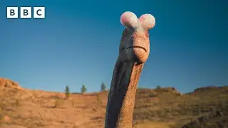 Incredible Lusotitan Mating Ritual | Walking With Dinosaurs - BBC