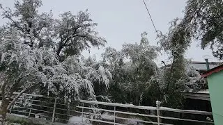 2026/01/24 :جمال منطقة مدينة المنزل  وهي مكسوة با الثلج ❄️☔️ 📞0666061770