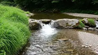 CALM RIVER ASMR - SOOTHING SOUND OF RIVER FOR FOCUS STUDY | RELAXING ASMR RIVER