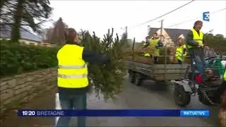 Collecte hippomobile de sapins &agrave; Baud (France 3)