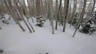 Fresh Tracks in the Trees .  Powder Skiing in Park City, Utah . Best of my Life
