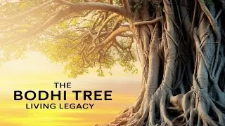 The Bodhi Tree: Living Legacy