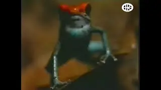 Coldcut & Hexstatic - Frog Jam (AI upscale)
