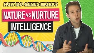 Nature vs Nurture Debate: Intelligence + Academic Success (Video 2/4)