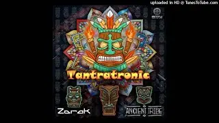 Zorak & Ancient Tribe - Metauniverse (Original Mix)