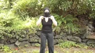 The Truth About Ninjas - ASL Cover