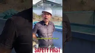 White Hat Episode 91 - Boss Tinh shows how to negotiate employee salaries #shortvideo #funny #saf...