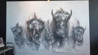 The Making of a HUGE Buffalo/Bison Painting