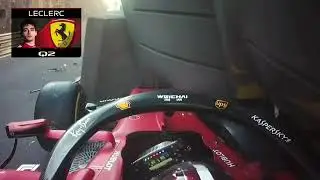 F1 2019 leclerc I&rsquo;m stupid😂