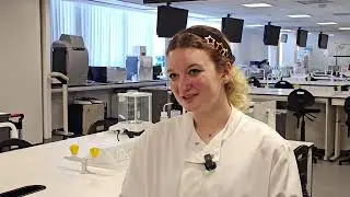 TOP project experience 1