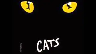 memory (musical de cats) patricia cruz