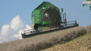Master on the Hill - John Deere 9660 WTS Hillmaster II - Weizen dreschen am Hang 2023