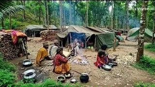 Real Forest Tribe Life in Nepal | Daily Survival, Traditional Cooking & Jungle Living || part 3